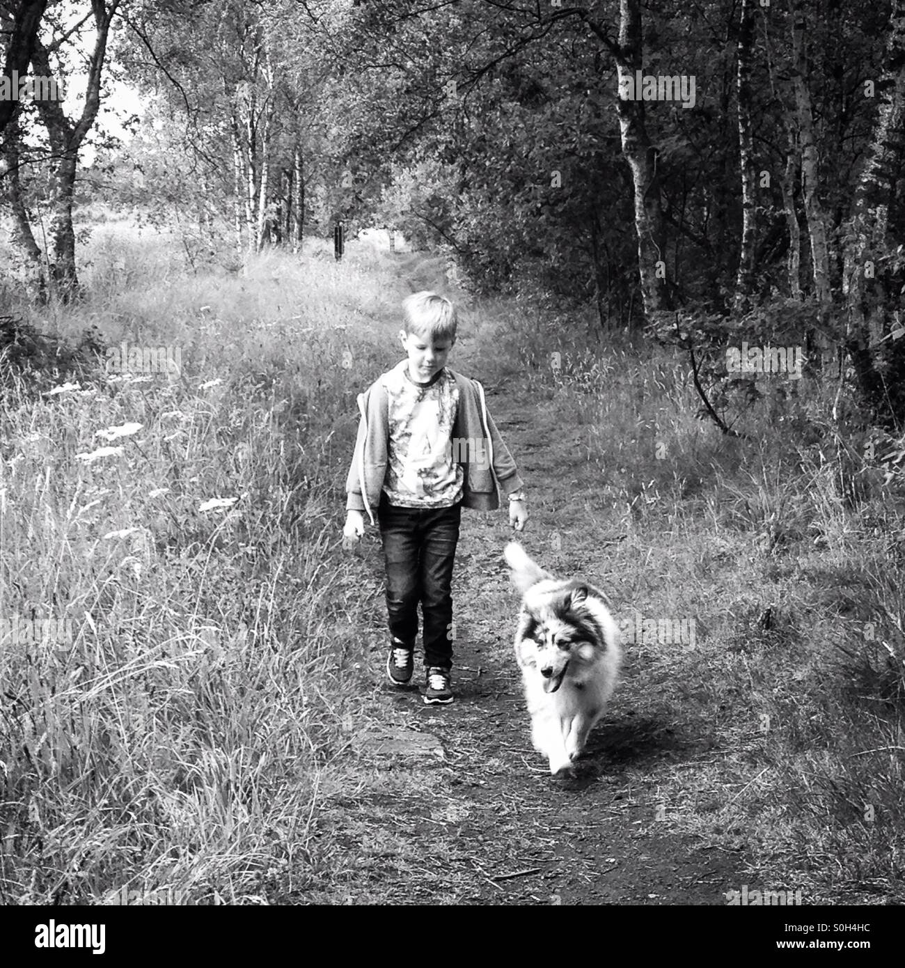 Un ragazzo e il suo cane a camminare Foto Stock