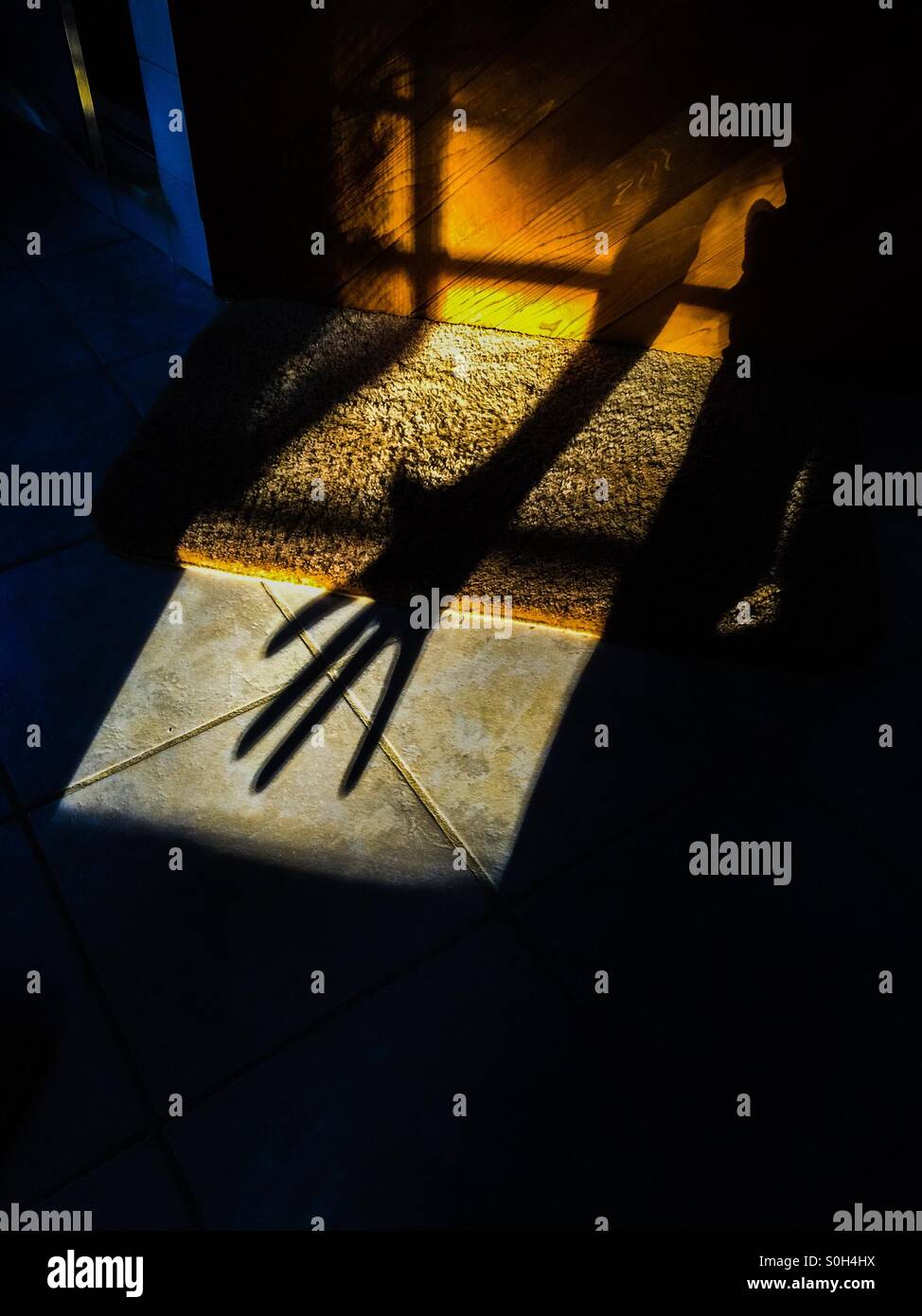 Braccio lungo, dita divaricate. Una forte ombra sulla parete e sul pavimento. Concetti: Lungo raggio, mano singola, pronto, afferrare Foto Stock