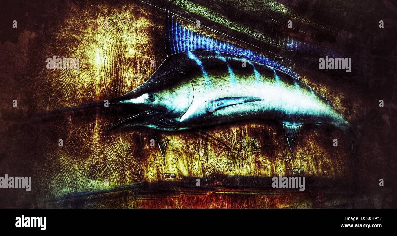 Marlin azzurro Pesce Foto Stock