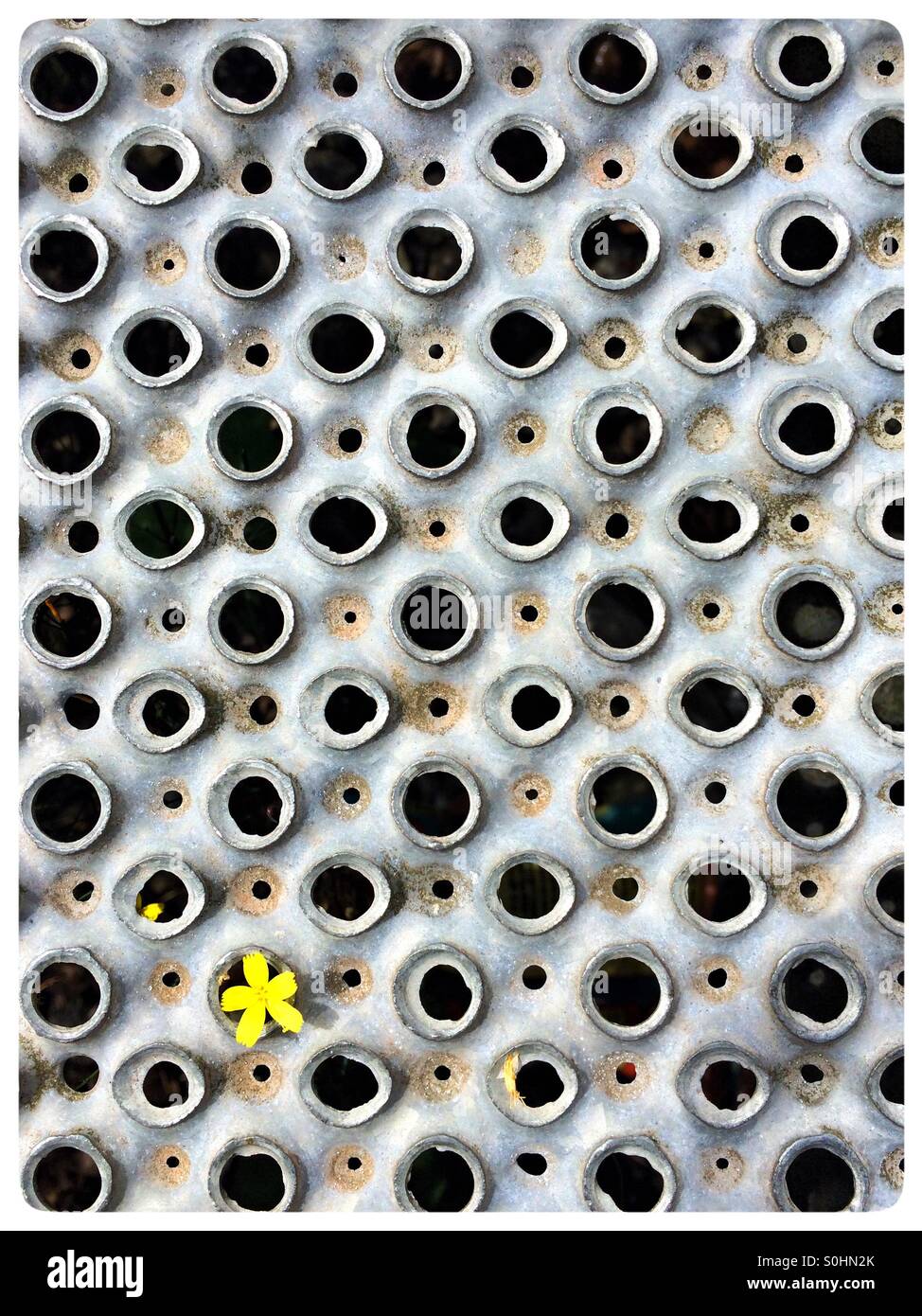 La forza del carattere Foto Stock