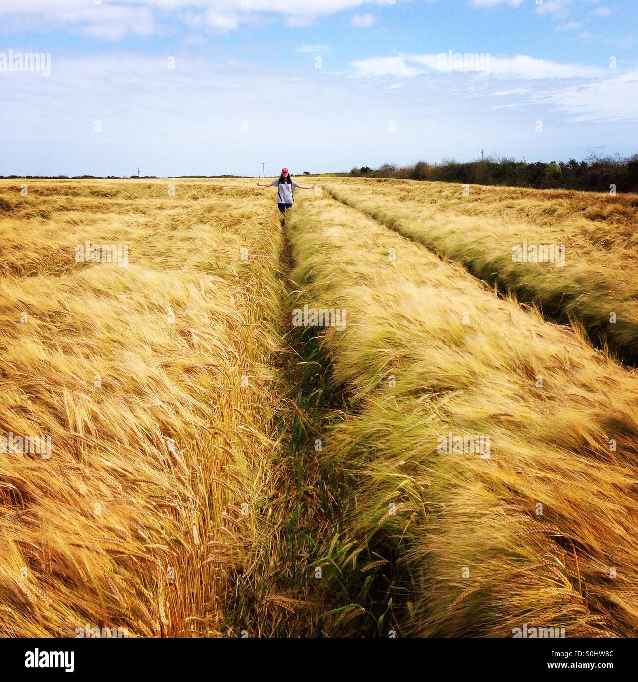 Ragazza adolescente nel campo di grano in Cornovaglia Foto Stock