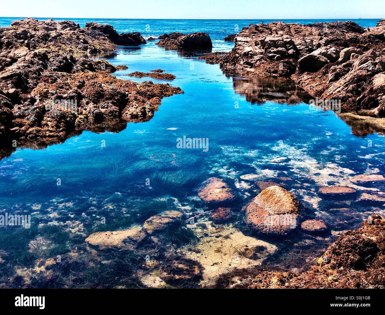 Pool di marea sulla rocciosa costa della California Foto Stock