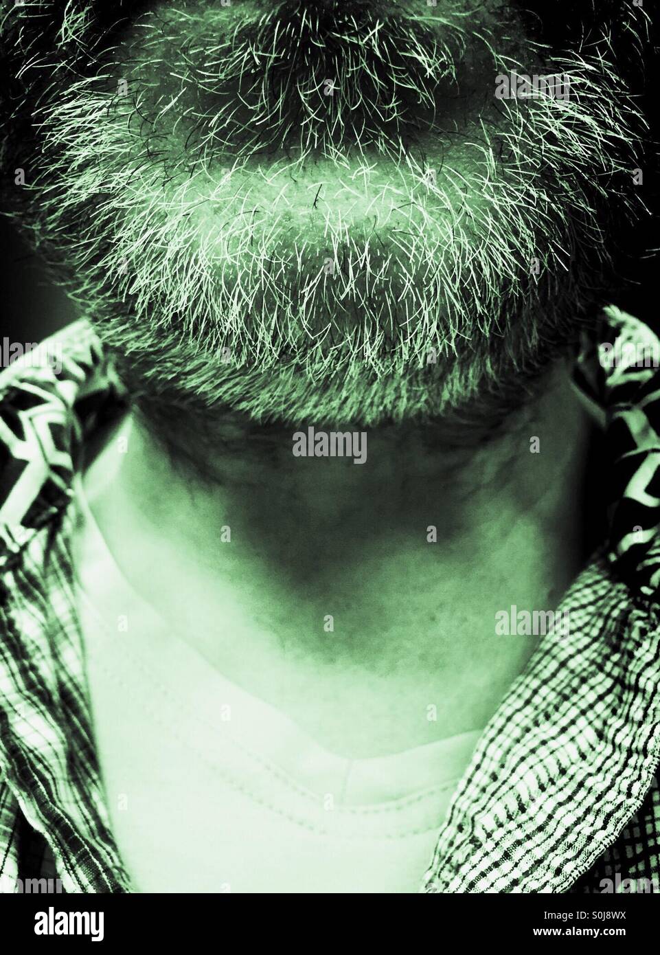 Mento peloso Foto Stock