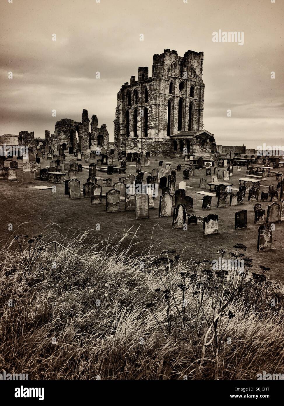 Priorato di Tynemouth filtro Foto Stock