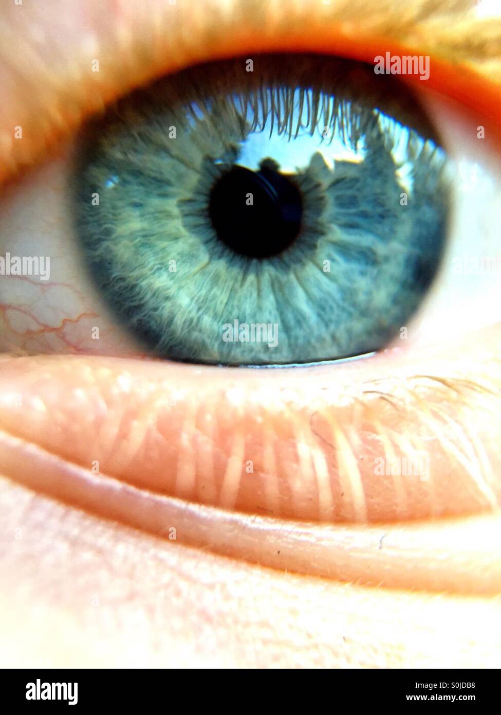Primissimo piano di un occhio umano blu-verde - Immagine stock catturata con smartphone