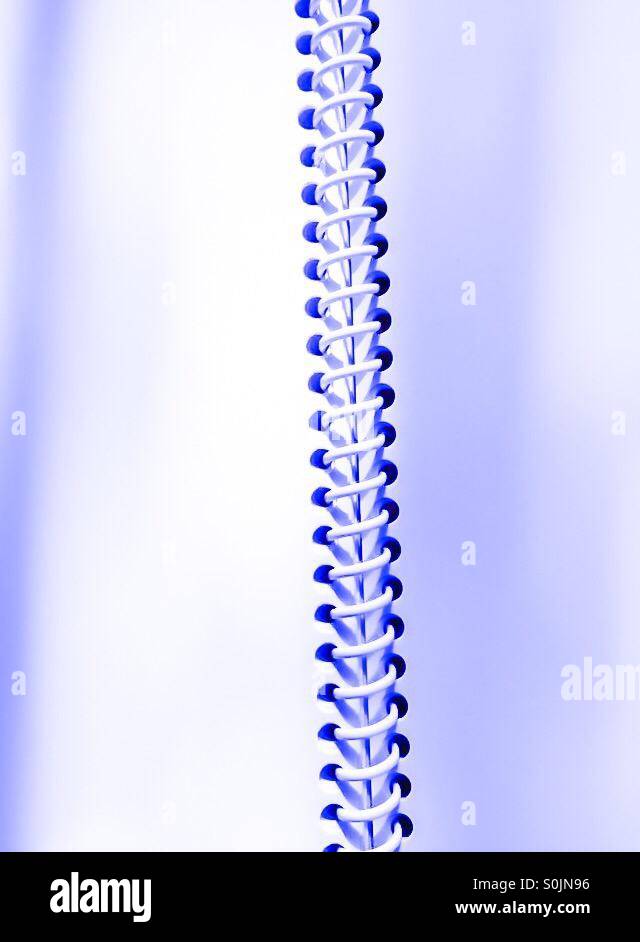 Spirale di anello - Immagine stock catturata con smartphone