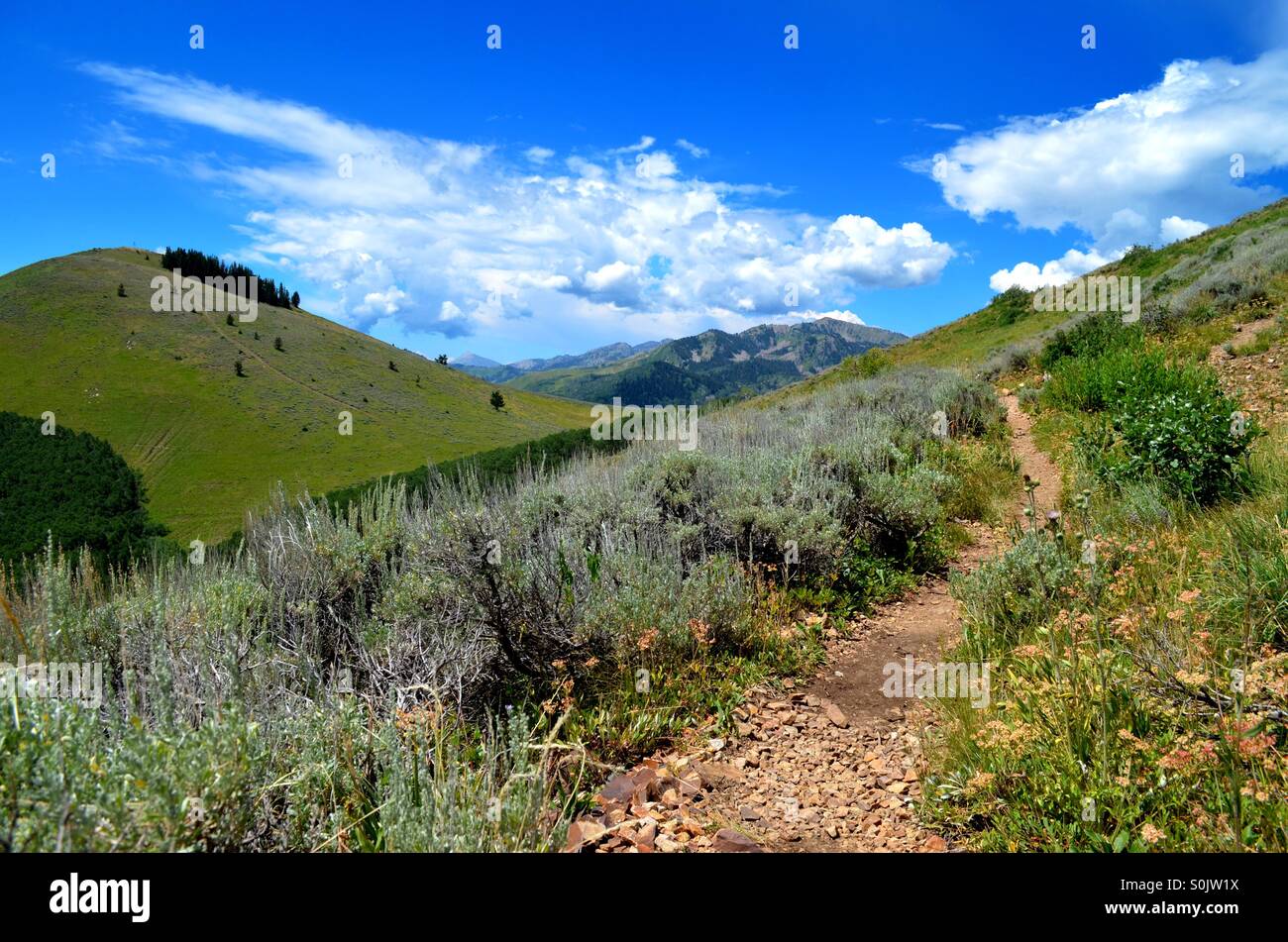 Escursionismo in Utah, Deer Valley Foto Stock