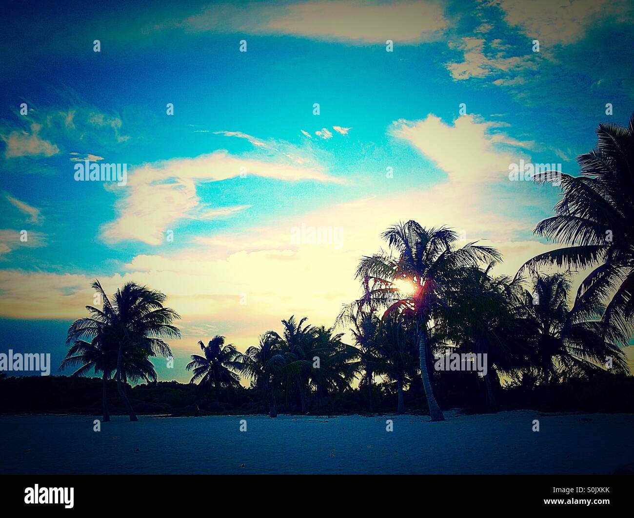 Tramonto dietro palme sulla spiaggia tropicale Messico - Immagine stock catturata con smartphone