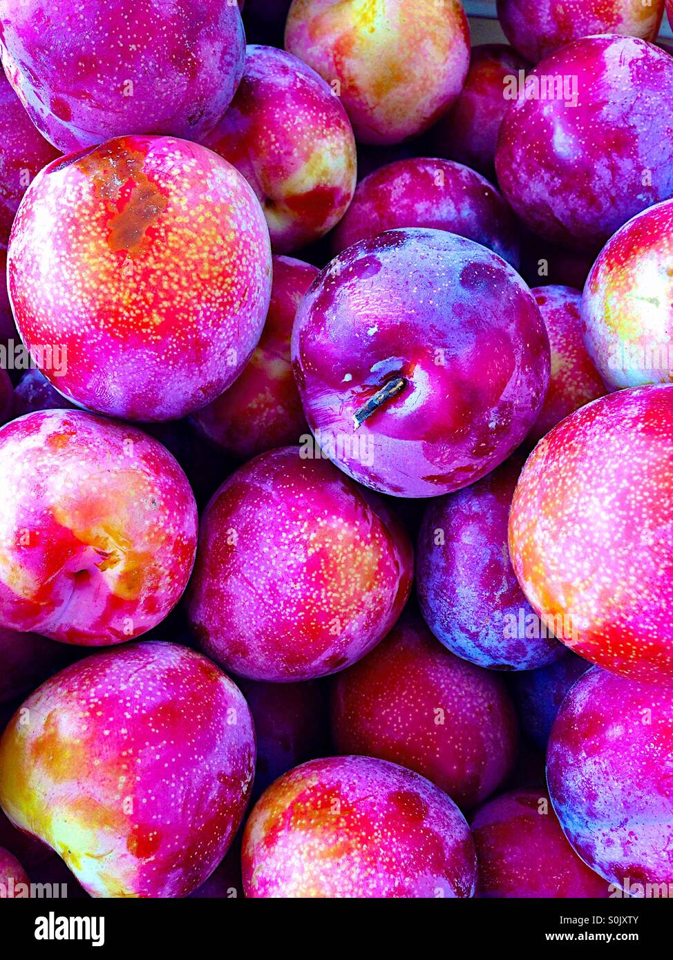 Prugne viola - Immagine stock catturata con smartphone