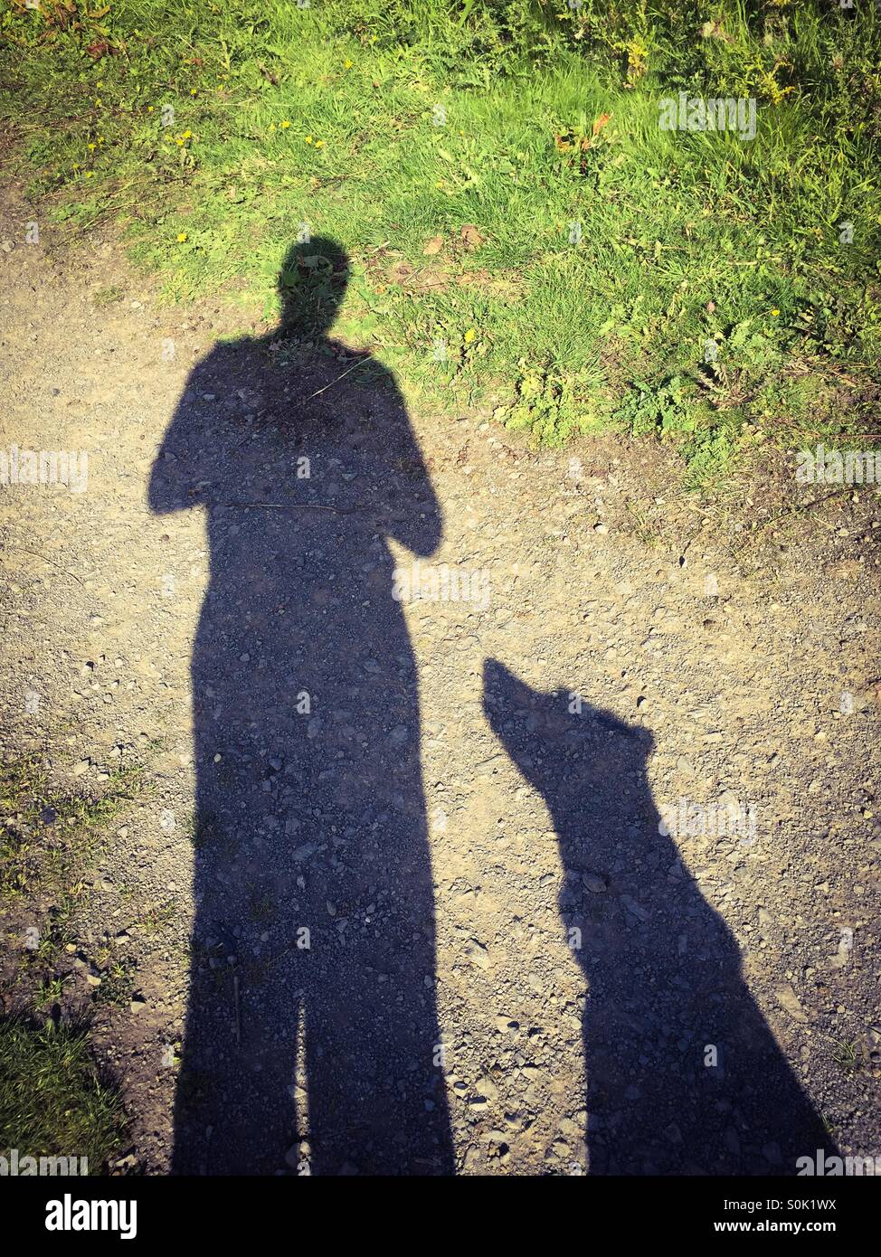 Un uomo e il suo cane, silhouette immagine - Immagine stock catturata con smartphone