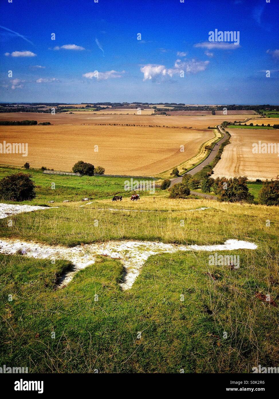 Vista dalla collina Hackpen Wiltshire - Immagine stock catturata con smartphone