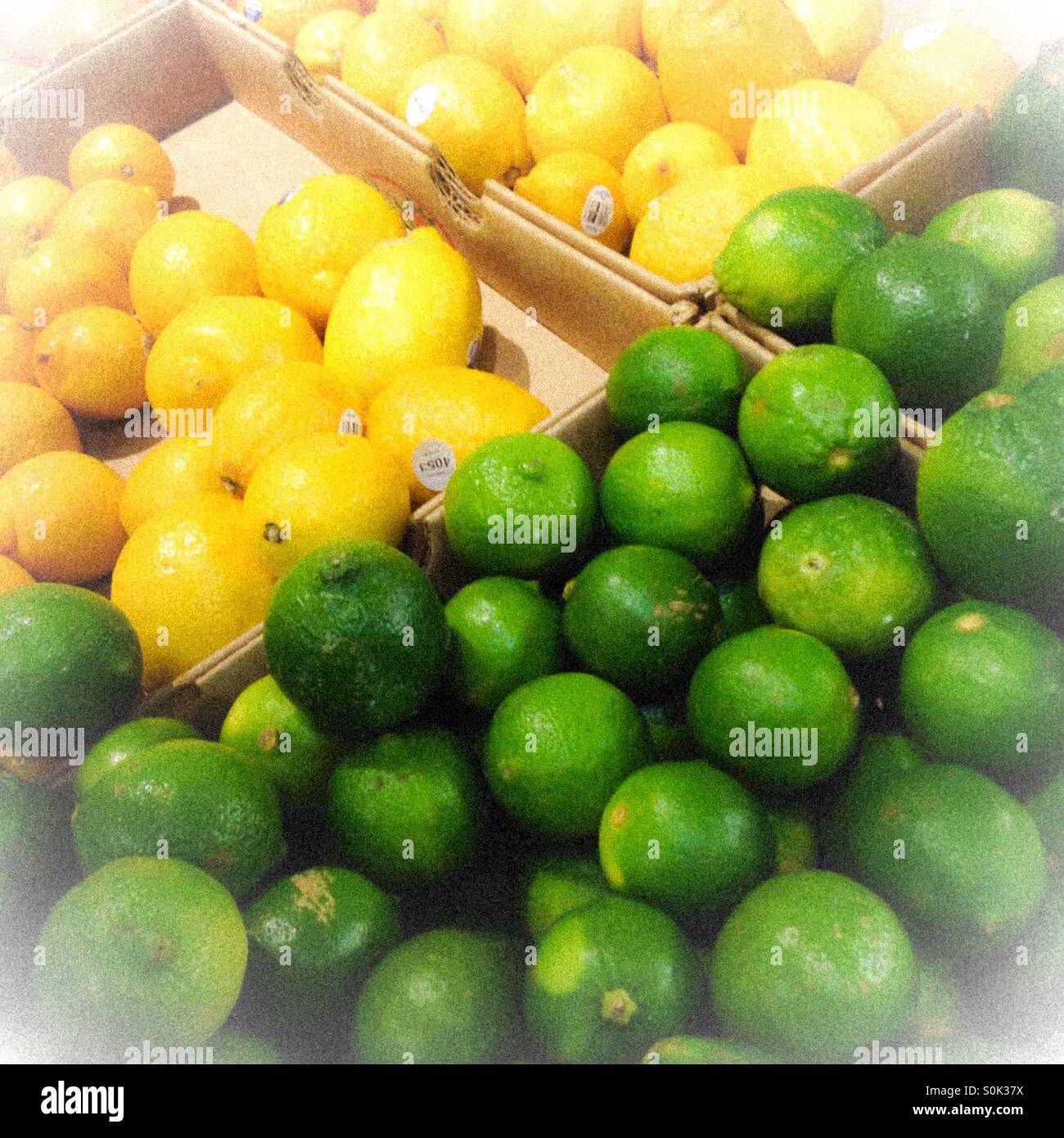 I Limoni e limette al supermercato negozio di alimentari con un vintage vignette filtrata sentire. Il giallo e il verde degli agrumi produrre sano. Foto Stock