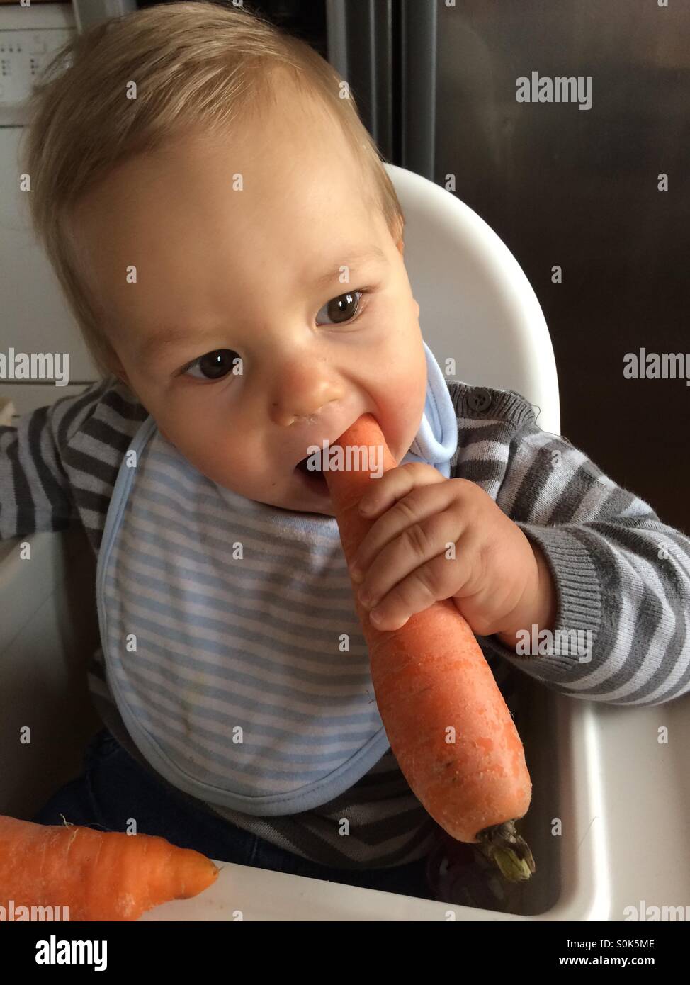 Poco senza denti bambino seduto in una sedia alta in cucina, cercando di prendere un morso di una fresca succosa carota. Foto Stock