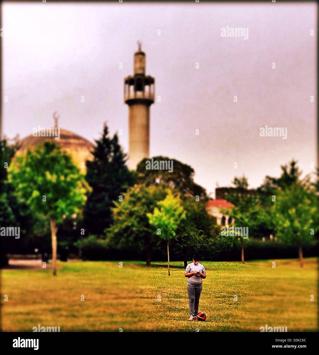 Vista del Regent's Park che mostra Londra Centrale della moschea minareto, City of Westminster, Londra, Inghilterra, Regno Unito, Europa Foto Stock