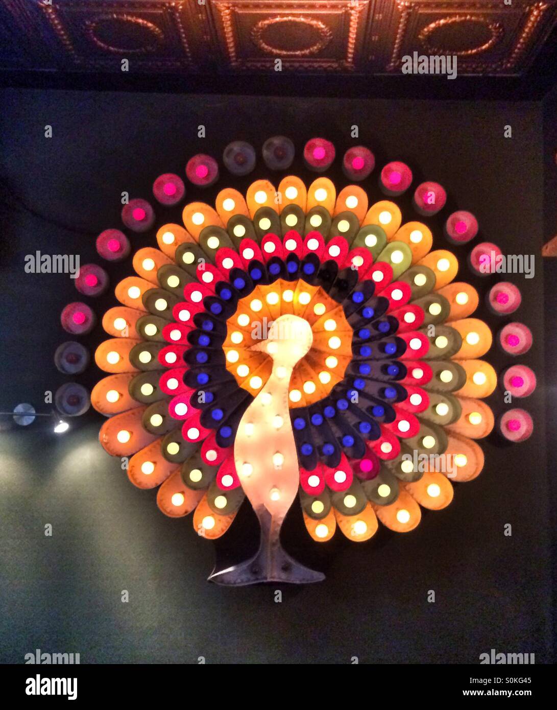 Peacock progettazione installazione di luce - Immagine stock catturata con smartphone