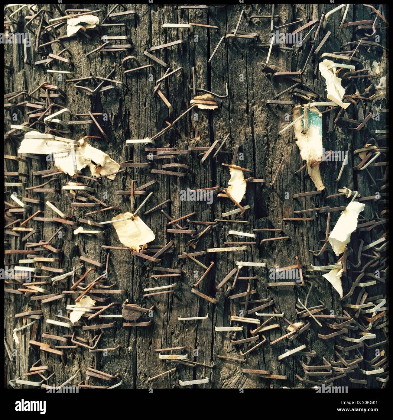 Close-up di più punti metallici su un polo utilità da molti bollettino postings, New York, Stati Uniti d'America Foto Stock