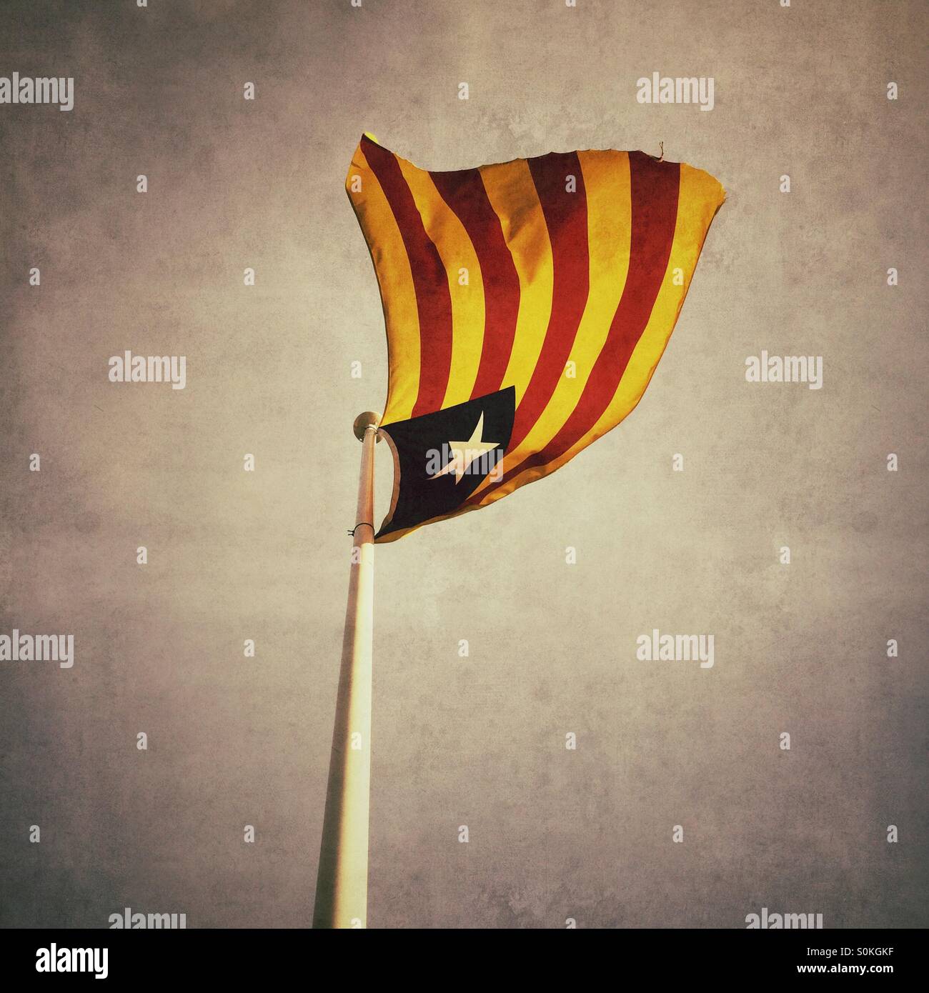 La Estelada bandiera della Catalogna - Immagine stock catturata con smartphone