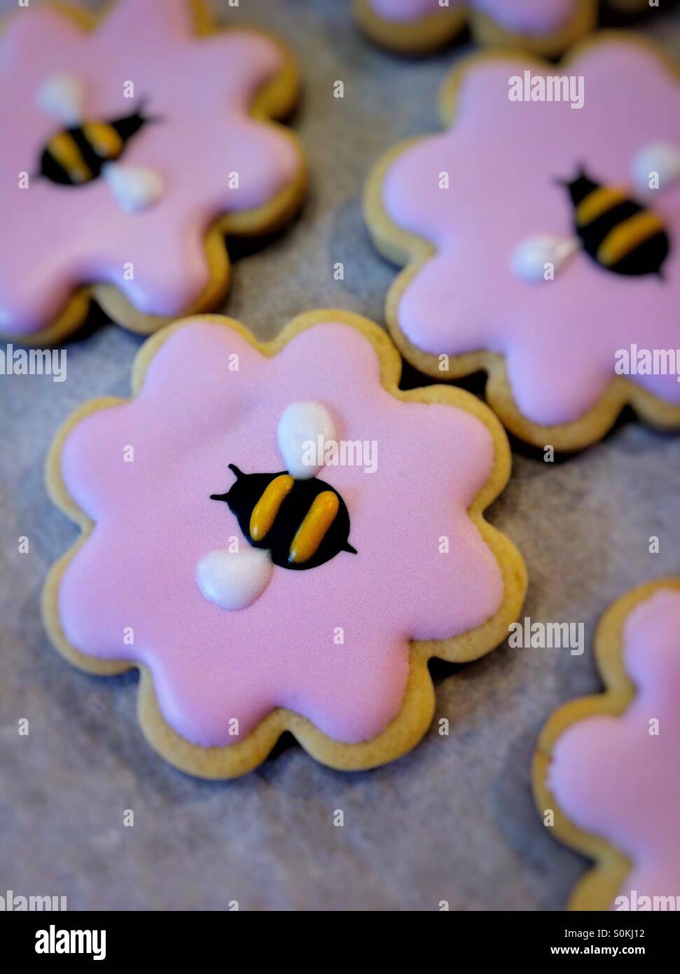 Cookie Stinger Foto Stock