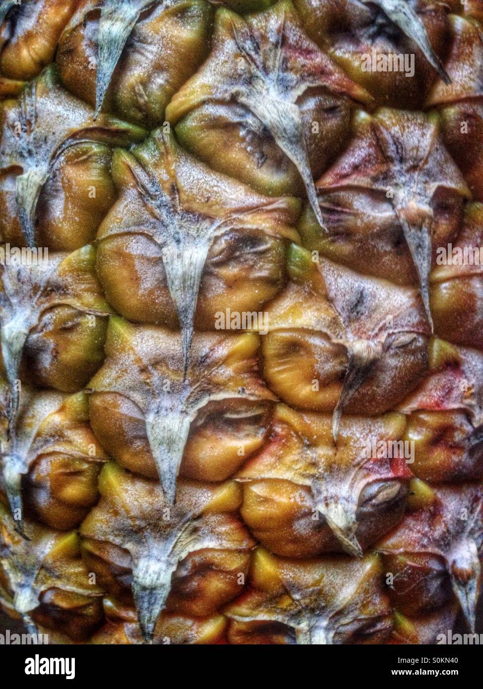 Pelle di ananas. - Immagine stock catturata con smartphone