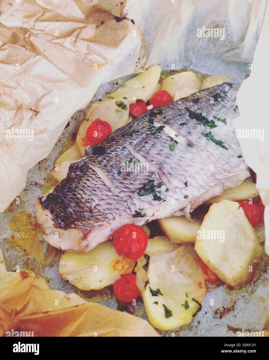 Orate di mare filetto di pesce in cartoccio con patate e pomodori ciliegia Foto Stock