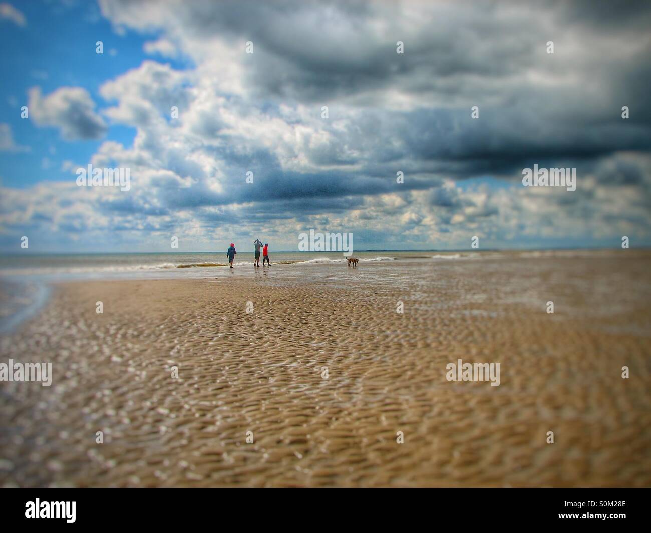 Una famiglia di tre persone a piedi il loro cane su di una spiaggia di sabbia. Foto Stock