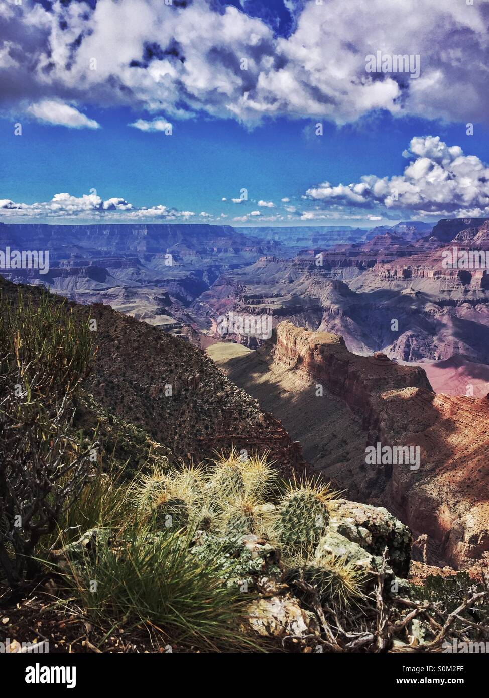 Bordo Sud del Grand Canyon, Arizona Foto Stock