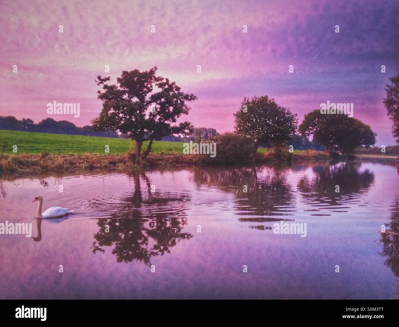 La mattina presto riflessioni su Leeds e Liverpool canal a Adlington in Lancashire Foto Stock