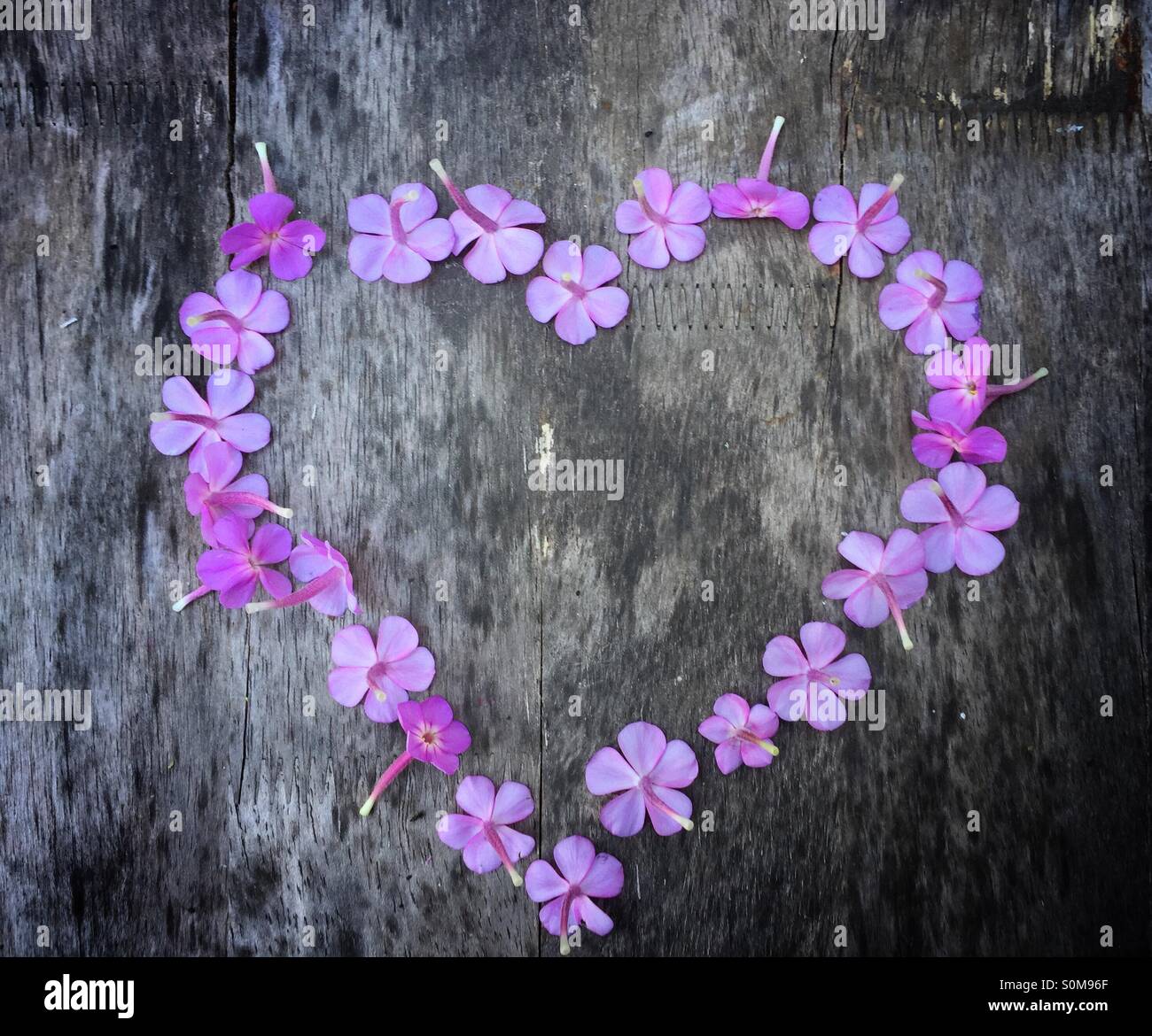 Ama i tuoi fiori immagini e fotografie stock ad alta risoluzione - Alamy