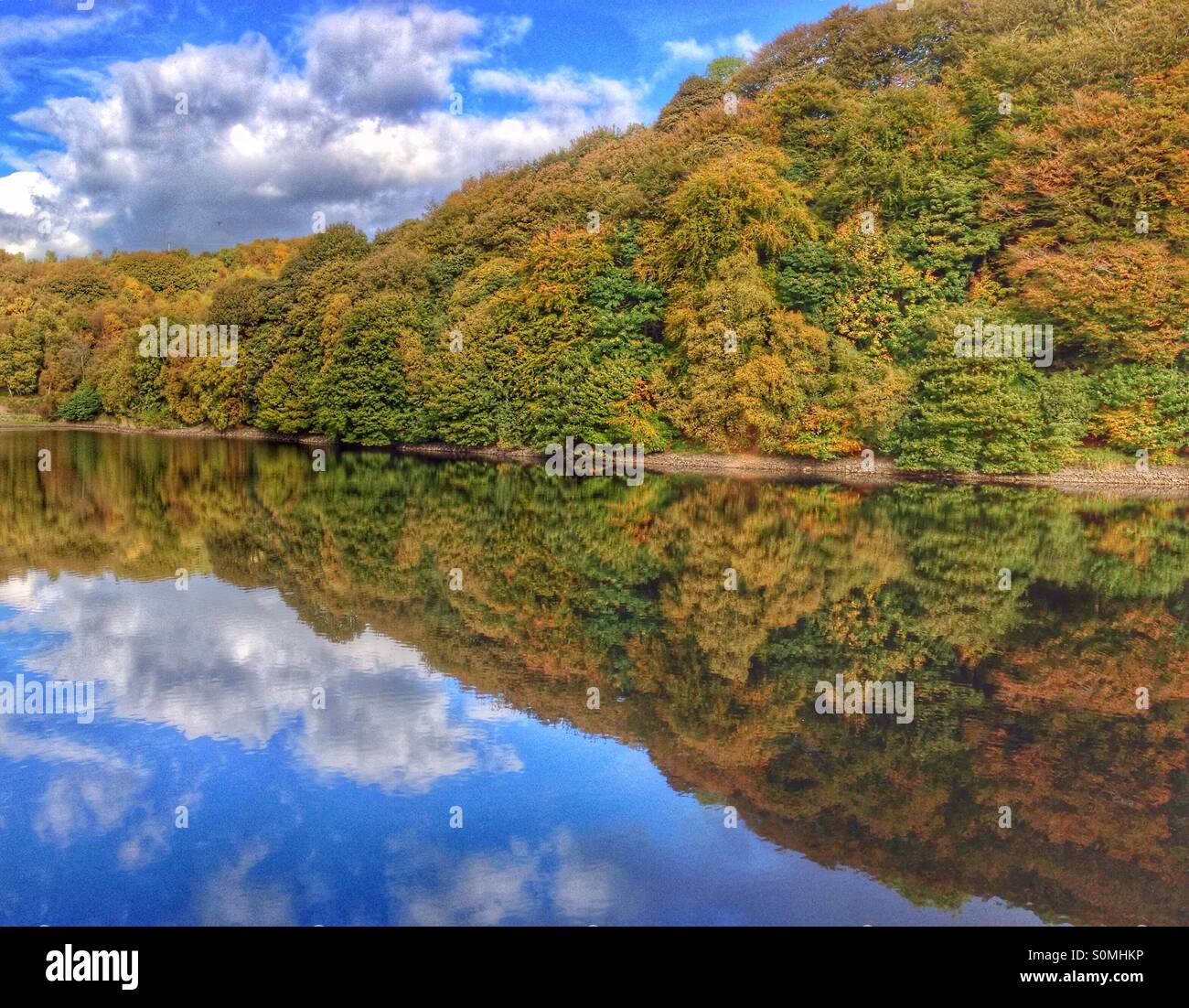 Immagine speculare riflessione di autunno alberi nel serbatoio a Anglezarke in Lancashire Foto Stock