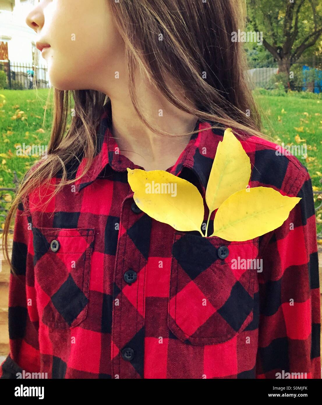 Una giovane ragazza che indossa il rosso e il nero buffalo-controllato plaid shirt ha 3 foglie di giallo nella sua tasca della camicia. Foto Stock