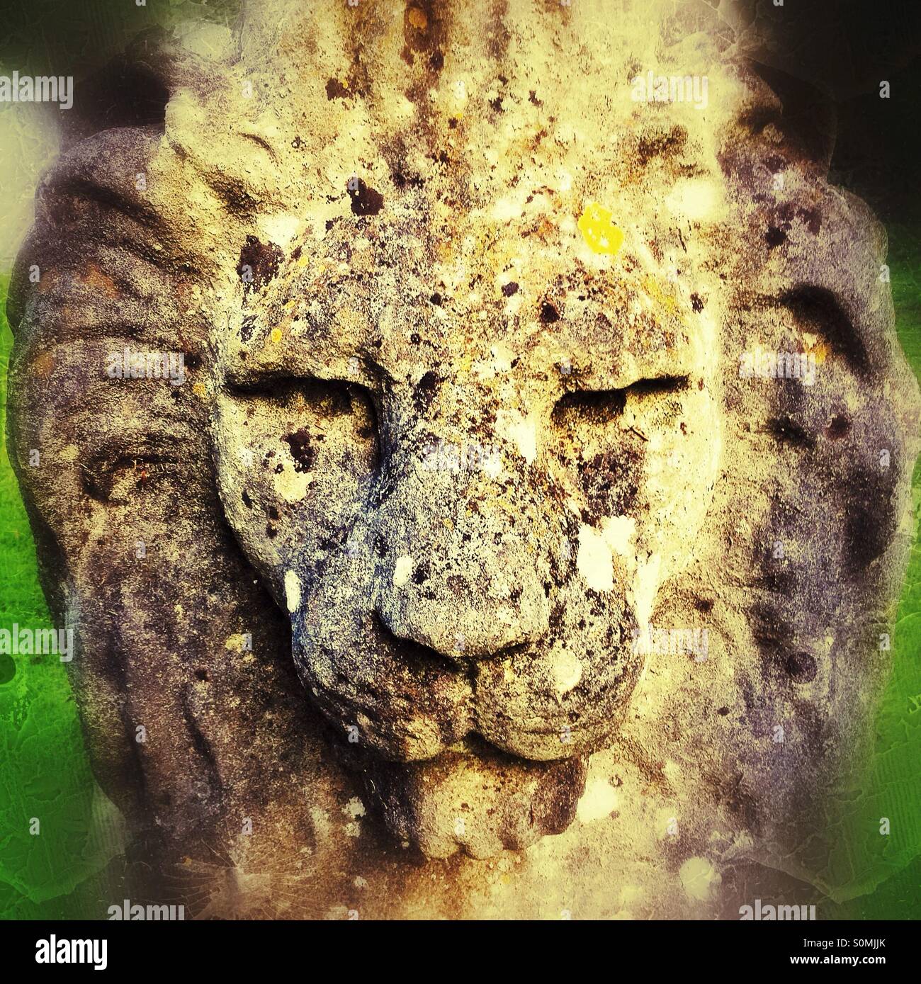 Faccia di leone di pietra Foto Stock