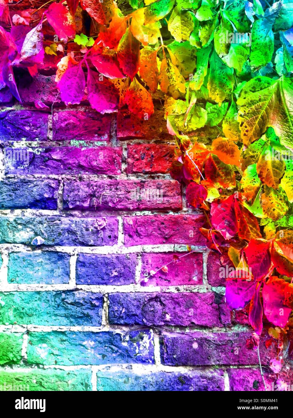 Effetto arcobaleno su foglie contro un muro di mattoni Foto Stock