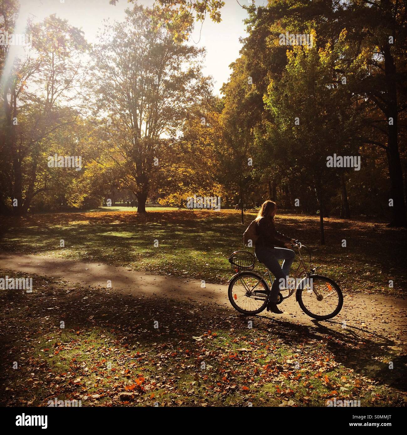 Autunno a Berlino. In bicicletta nel Tiergarten. Foto Stock