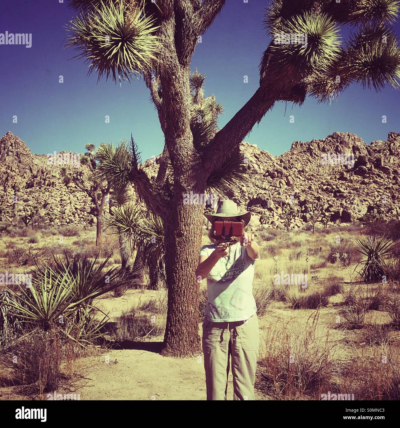 Prendendo un selfie a Joshua Tree nel deserto di Mojave nel sud della California USA Foto Stock
