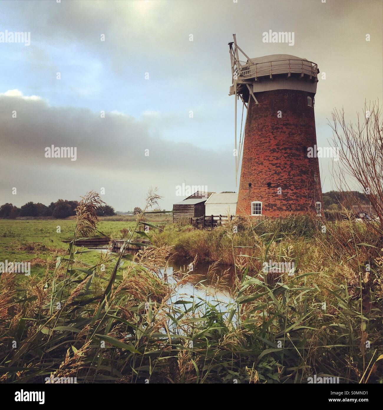 Horsey Windpump Norfolk Foto Stock