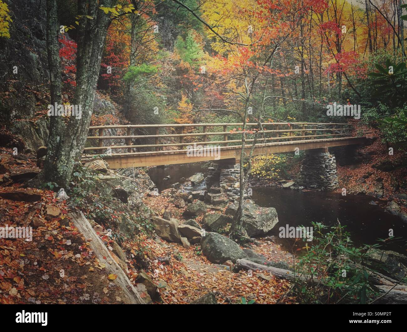 Un piccolo ponte pedonale attraversa un fiume lungo l'Appalachian Trail nel nord-est del Tennessee Foto Stock