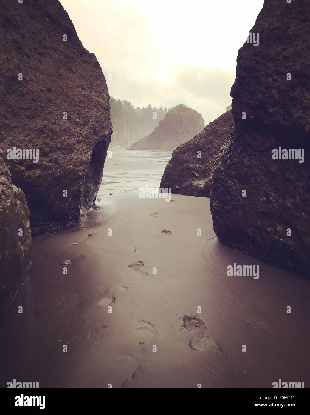 Impronte sulla Pacific Northwest beach. Ruby Beach, nello Stato di Washington, USA. Foto Stock