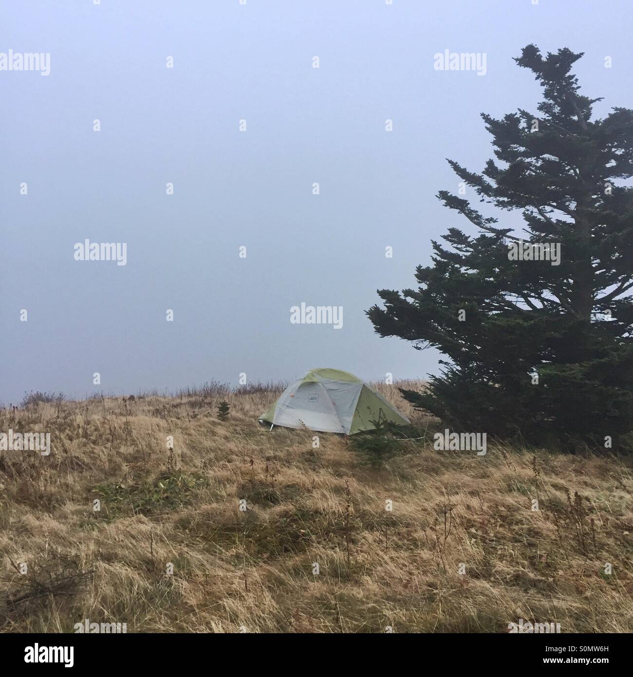 Una tenda per gli escursionisti è impostato in un campo durante nuvoloso e pioggia Foto Stock