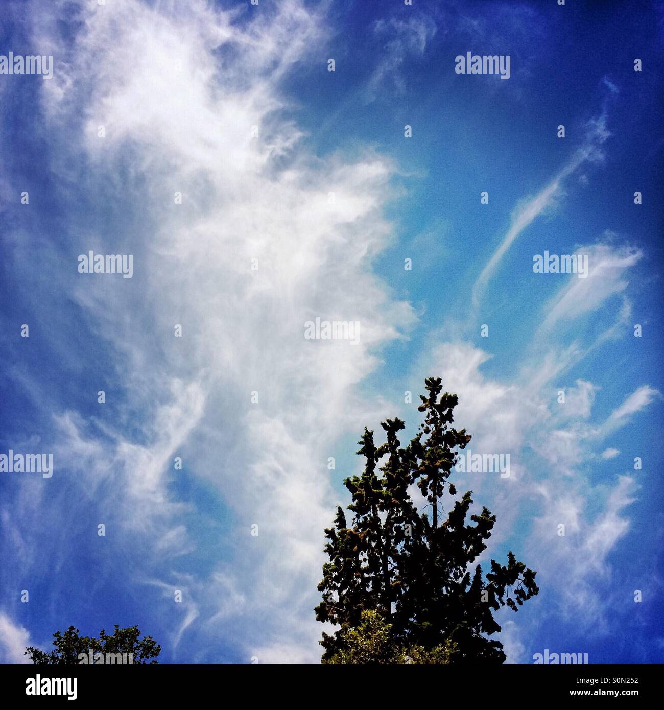 Formazioni di nubi. Foto Stock
