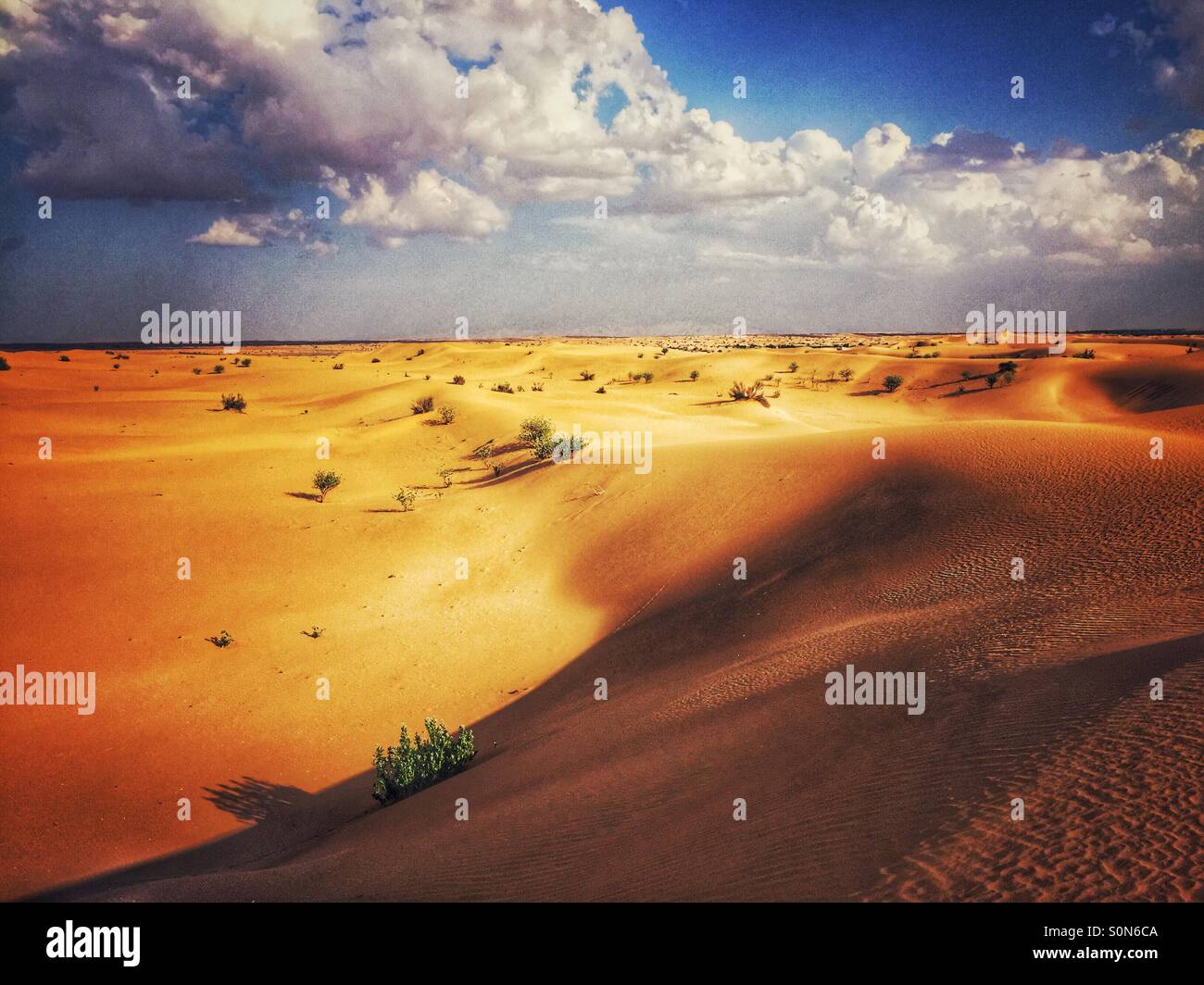 La scena del deserto Dubai EMIRATI ARABI UNITI Foto Stock