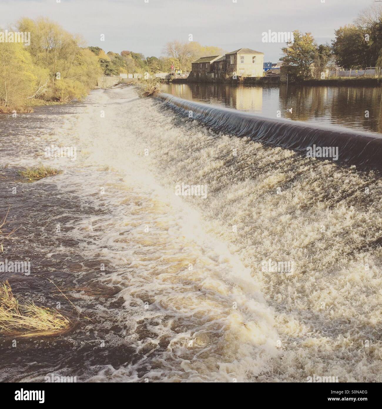 Otley canal West Yorkshire Foto Stock