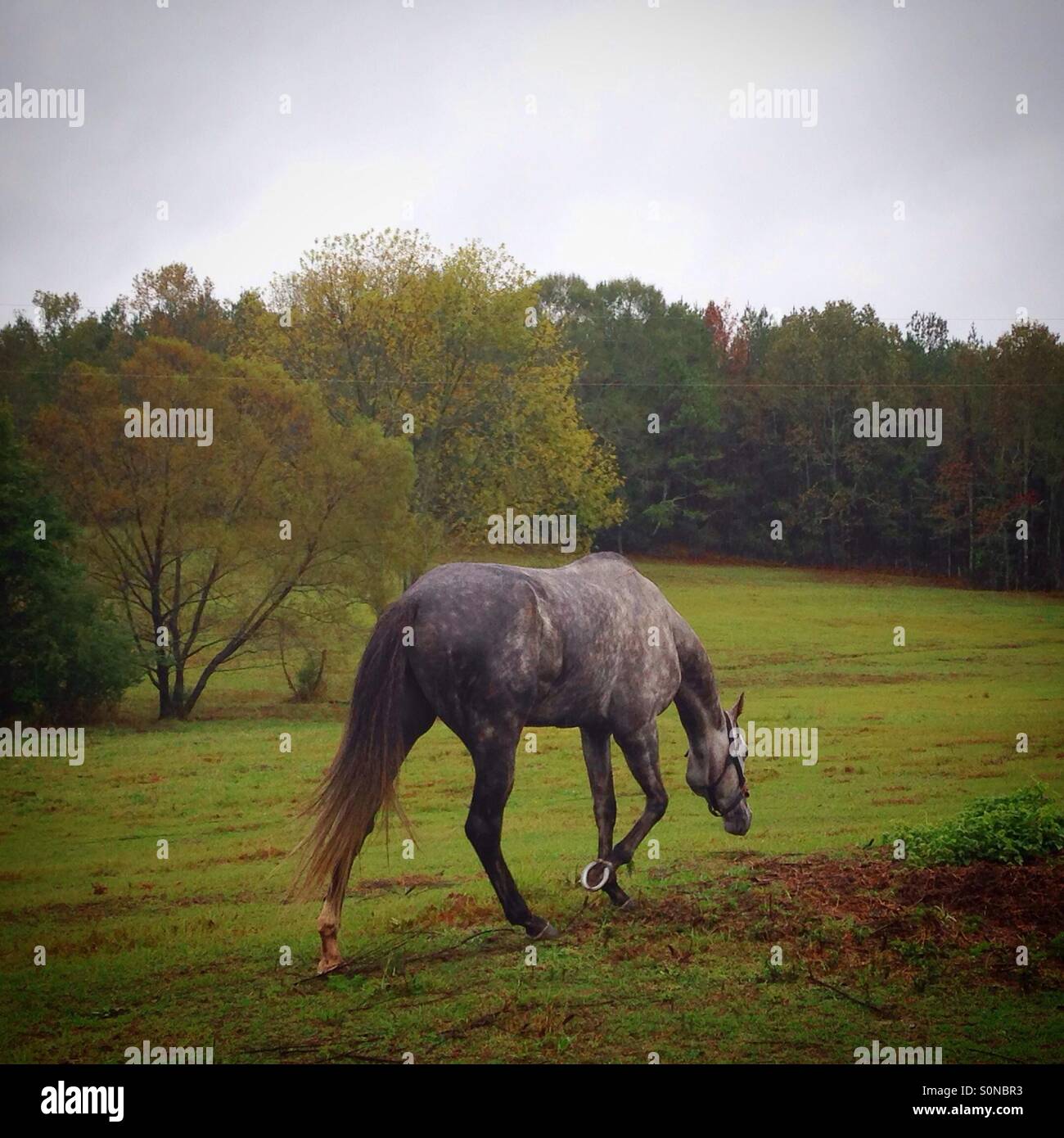 Serenità Foto Stock