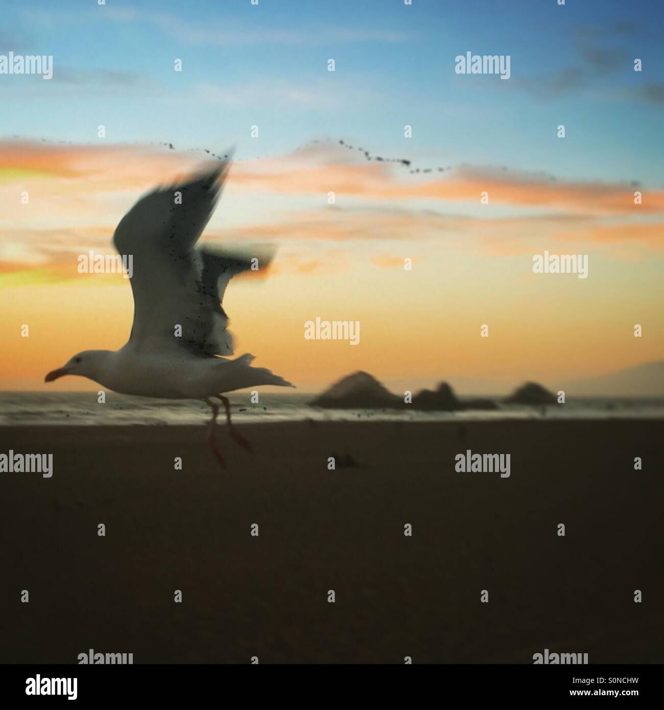 Fly Away Foto Stock