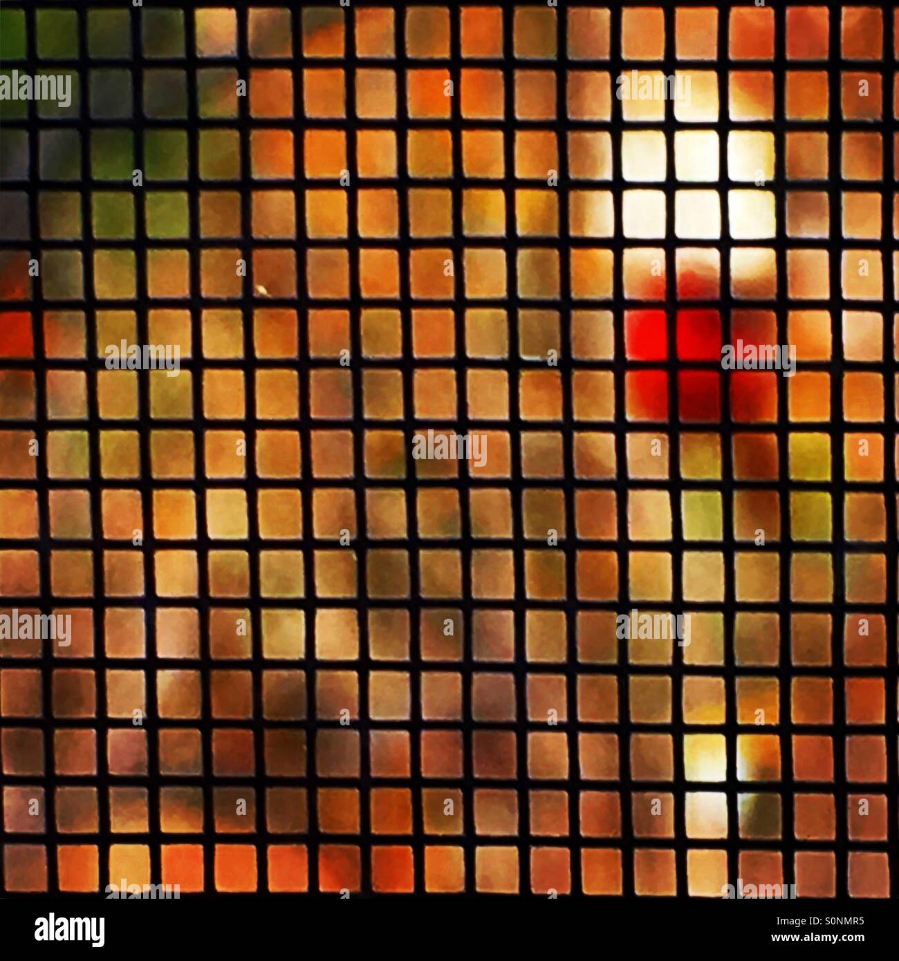 Griglia. Cortile interno con il cardinale attraverso la finestra sullo schermo. Foto Stock