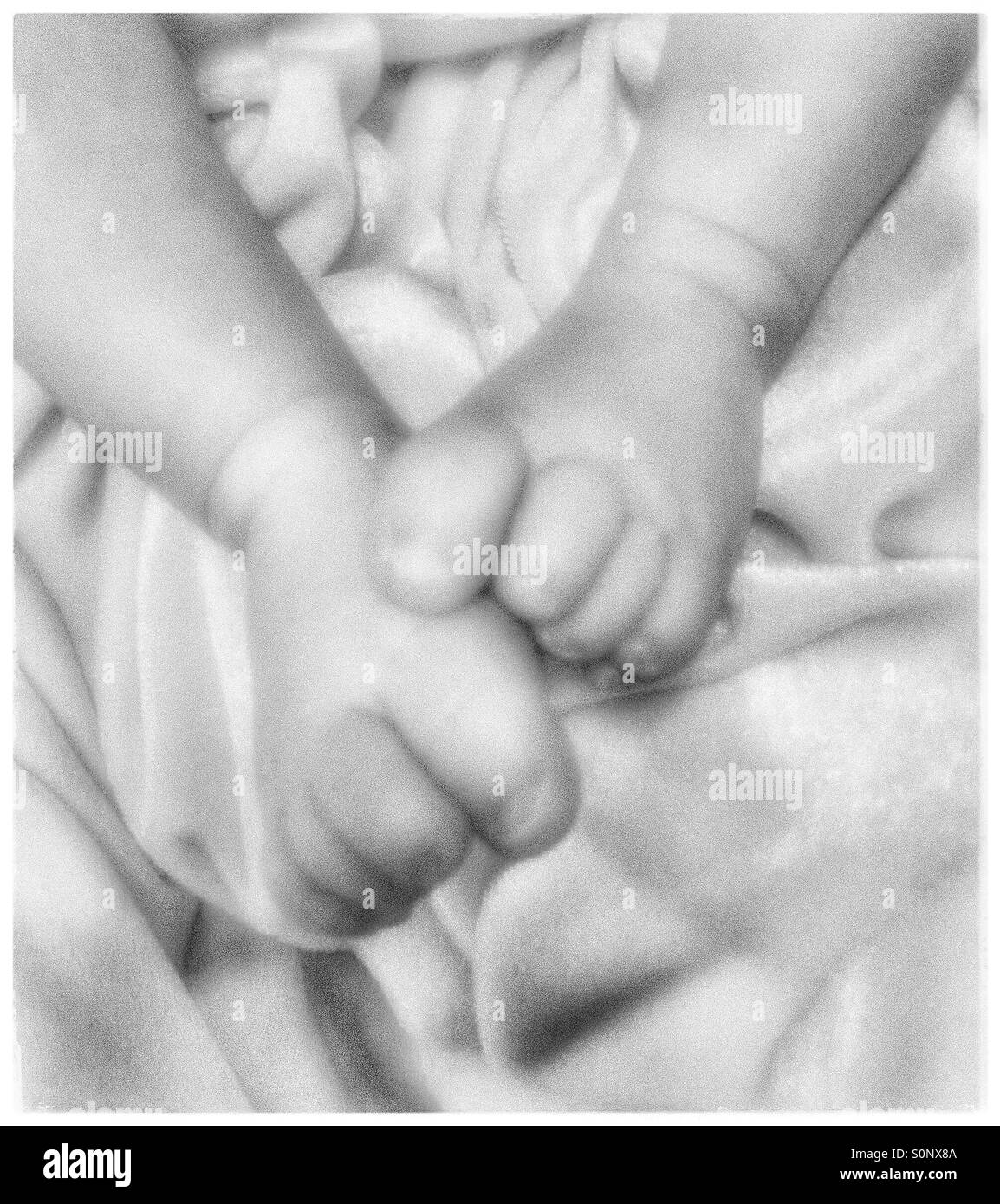 Piedi di neonati Foto Stock