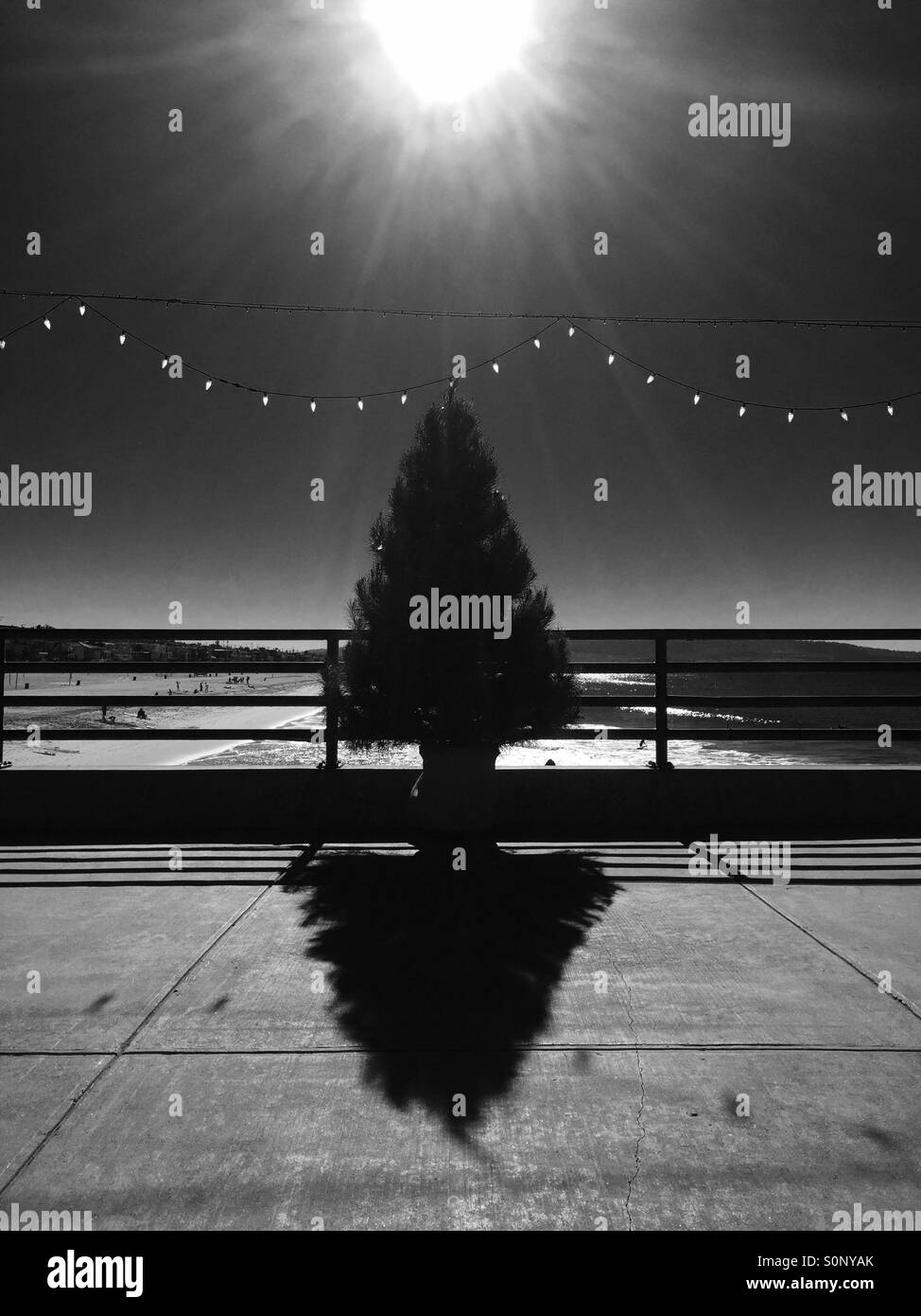 Un albero di Natale e un filo di luci delle vacanze sul porto di Manhattan in una giornata di sole. Manhattan Beach California USA. - Immagine stock catturata con smartphone