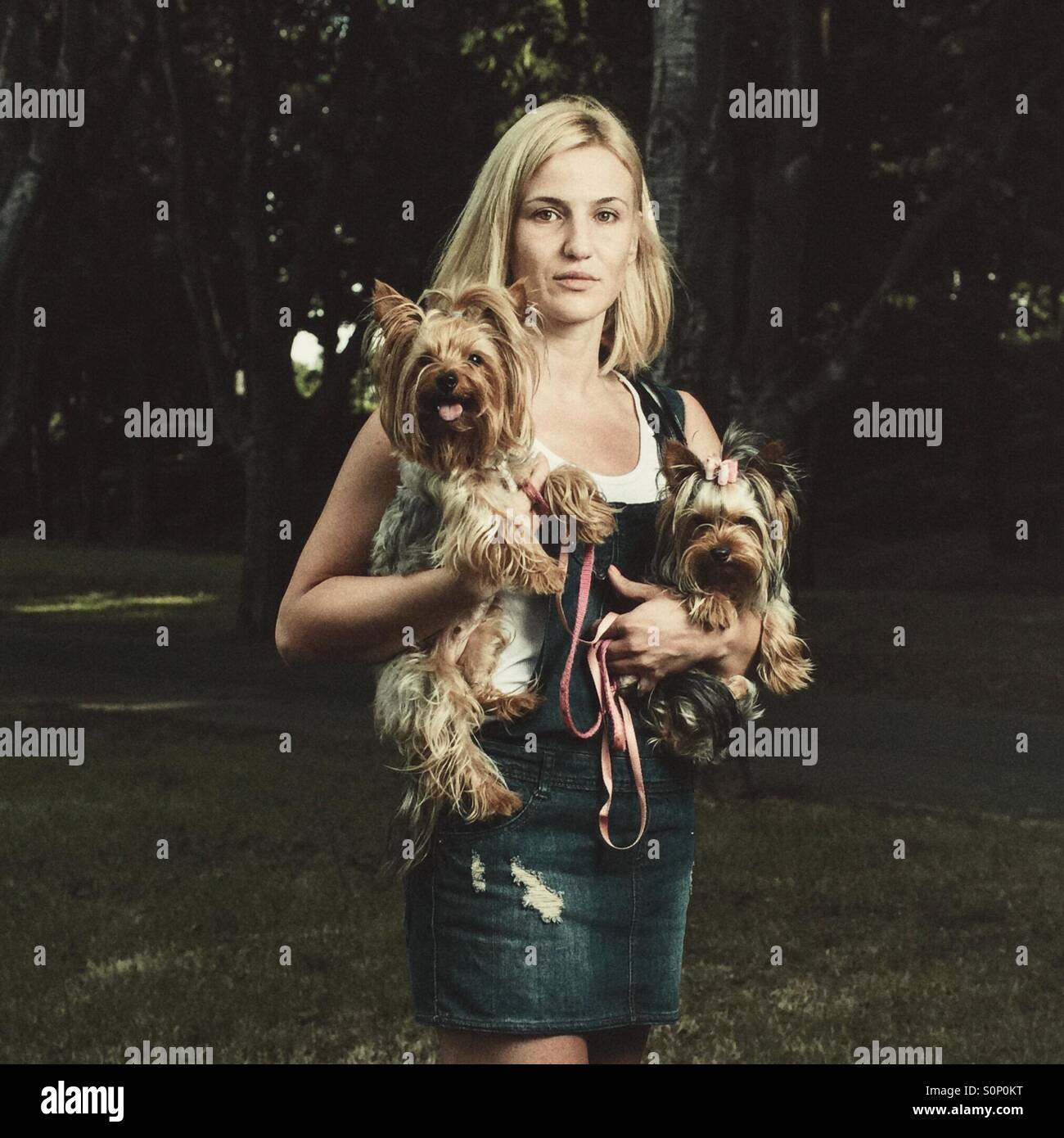Ragazza con i cani Foto Stock