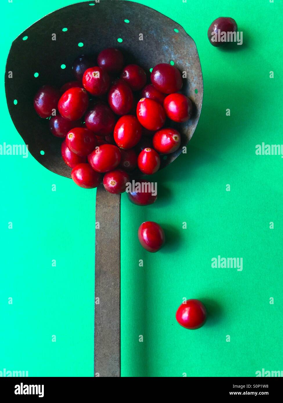 Cranberries su verde - Immagine stock catturata con smartphone