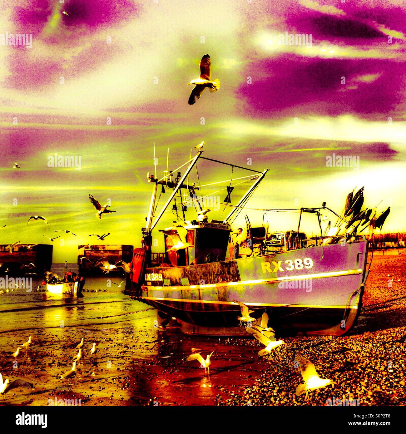 Seagull in bilico su Hastings barca da pesca sbarco la sua cattura del pesce all'alba, sulla Città Vecchia di Stade beach. - Immagine stock catturata con smartphone