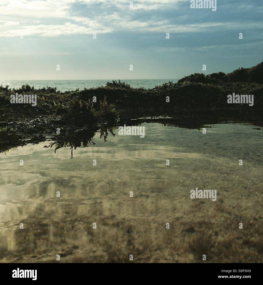 La riflessione in un rockpool - Immagine stock catturata con smartphone